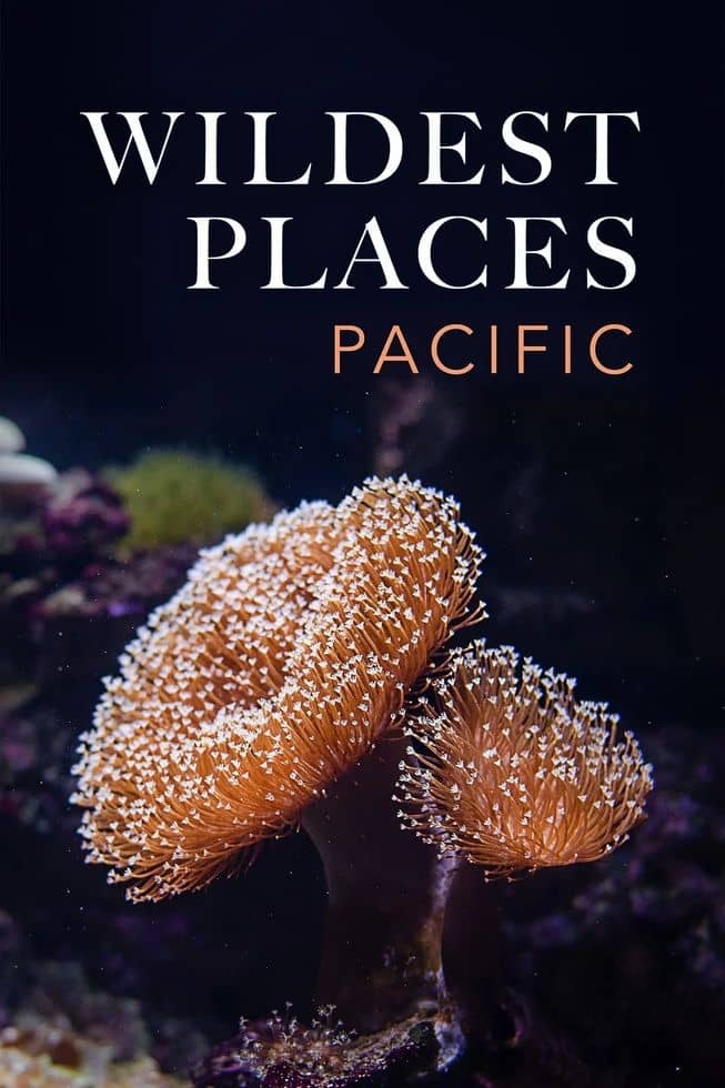 澳大利亚纪录片《荒蛮之地：太平洋 Wildest Places: Pacific 2019》第二季全4集 英语中英双字 无水印纯净版 1080P/MKV/14.3G 狂野太平洋插图