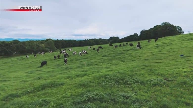NHK纪录片《草原生活 Living in the Grasslands 2025》英语无字 1080P/MKV/948M 草原生活插图7 NHK纪录片《草原生活 Living in the Grasslands 2025》英语无字 1080P/MKV/948M 草原生活插图7