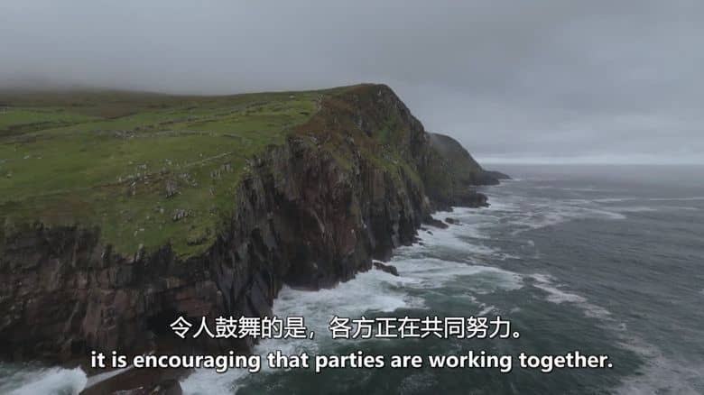 RTE纪录片《海豚：海洋奇观 Dolphins: Wonders of the Ocean 2025》英语中英双字 无水印纯净版 1080P/MKV/2.17G 海豚纪录片插图6