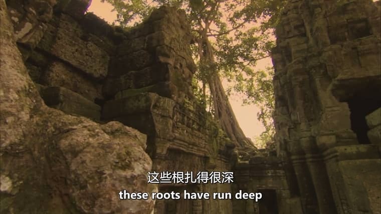 美国纪录片《狂野中南半岛 Wildest Indochina 2014》全5集 英语中英双字 无水印纯净版 1080P/MKV/16.8G 中南半岛生态插图3