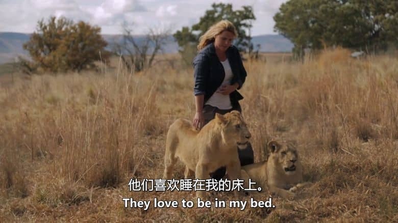 新西兰纪录片《狮子女王 The Lion Queen 2021》第1-2季全12集 英语中英双字 无水印纯净版 1080P/MKV/27.2G 狮群守护者插图3