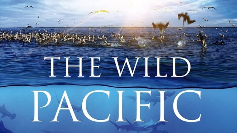 美国纪录片《狂野太平洋 The Wild Pacific 2016》英语中英双字 无水印纯净版 1080P/MKV/4.81G 太平洋生态插图1