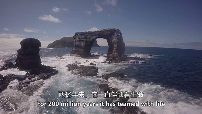 美国纪录片《狂野太平洋 The Wild Pacific 2016》英语中英双字 无水印纯净版 1080P/MKV/4.81G 太平洋生态插图2