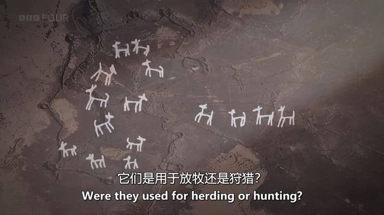 BBC纪录片《沙漠风筝之谜 The Mystery of the Desert Kites 2025》英语中英双字 无水印纯净版 1080P/MKV/1.12G 神秘史前巨型结构插图6 BBC纪录片《沙漠风筝之谜 The Mystery of the Desert Kites 2025》英语中英双字 无水印纯净版 1080P/MKV/1.12G 神秘史前巨型结构插图6