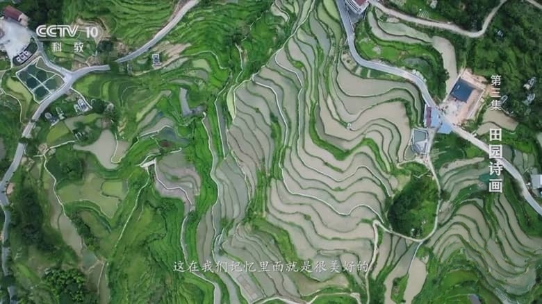 央视纪录片《逐梦山水 2025》全7集 国语中字 1080P/TS/14G 绿水青山插图4