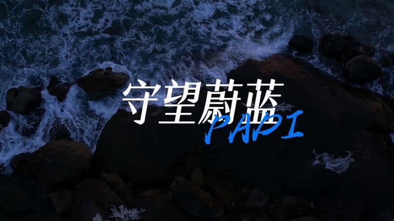 国产纪录片《海洋守蔚者 2025》全5集 国语中字 1080P/MKV/1.44G 海洋保护短片插图 国产纪录片《海洋守蔚者 2025》全5集 国语中字 1080P/MKV/1.44G 海洋保护短片插图