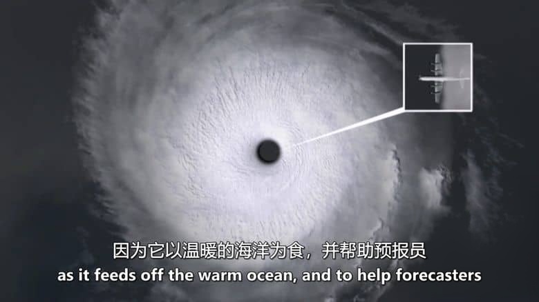ABC纪录片《自然现象 Phenomena 2021》全5集 英语中英双字 无水印纯净版 1080P/MKV/15.4G 探索自然界插图1
