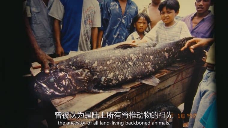 国家地理《失落的太平洋大陆 Lost Continent of the Pacific 2011》英语中英双字 1080P/MP4/1.04G 新几内亚岛插图2 国家地理《失落的太平洋大陆 Lost Continent of the Pacific 2011》英语中英双字 1080P/MP4/1.04G 新几内亚岛插图2