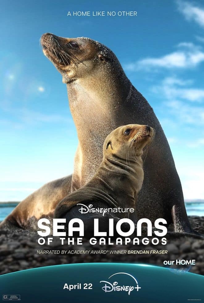 迪士尼纪录片《海狮利奥环岛记 Sea Lions of the Galápagos 2025》英语多国中字 无水印纯净版 1080P/MKV/4.62G 海狮利奥插图 迪士尼纪录片《海狮利奥环岛记 Sea Lions of the Galápagos 2025》英语多国中字 无水印纯净版 1080P/MKV/4.62G 海狮利奥插图