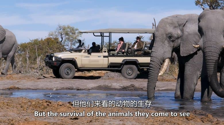 史密森尼频道《非洲极端机场 Extreme Airport Africa 2024》第一季全8集 英语中英双字 无水印纯净版 1080P/MKV/22G 非洲机场插图6 史密森尼频道《非洲极端机场 Extreme Airport Africa 2024》第一季全8集 英语中英双字 无水印纯净版 1080P/MKV/22G 非洲机场插图6