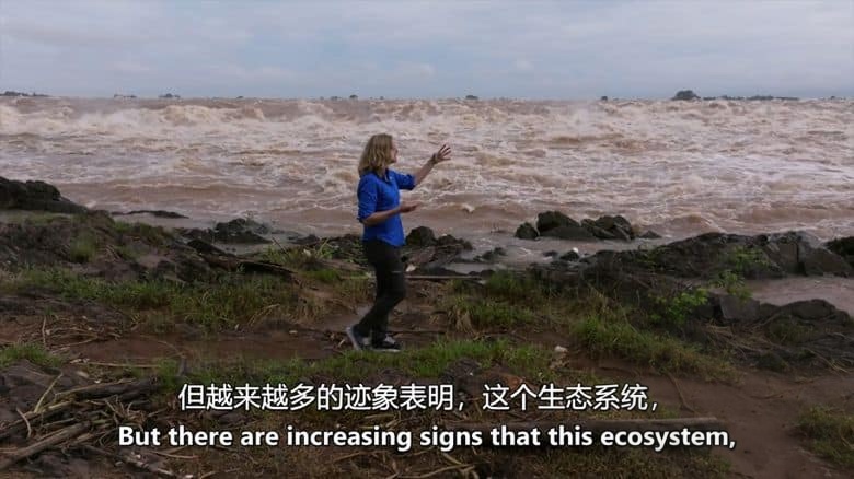 BBC纪录片《湄公河的最后希望 The Mighty Mekong’s Last Hope 2023》英语中英双字 无水印纯净版 1080P/MKV/1.52G 湄公河生态插图4 BBC纪录片《湄公河的最后希望 The Mighty Mekong’s Last Hope 2023》英语中英双字 无水印纯净版 1080P/MKV/1.52G 湄公河生态插图4