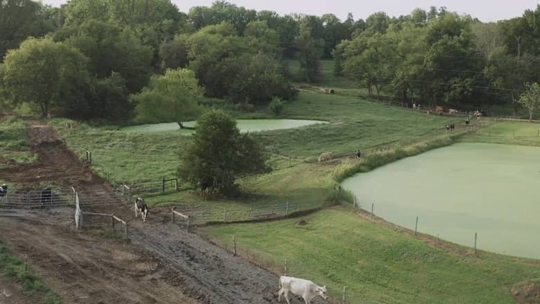 国家地理《哈彻家的奶牛农场 The Hatcher Family Dairy 2021》全8集 多国语言多国字幕 无水印纯净版 720P/MKV/16.2G 农场纪录片插图1 国家地理《哈彻家的奶牛农场 The Hatcher Family Dairy 2021》全8集 多国语言多国字幕 无水印纯净版 720P/MKV/16.2G 农场纪录片插图1