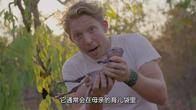 国家地理《杰克蓝道冒险纪行 Fearless Adventures with Jack Randall 2018》全6集 多国语言多国字幕 无水印纯净版 720P/MKV/1.02G 动物短片插图3 国家地理《杰克蓝道冒险纪行 Fearless Adventures with Jack Randall 2018》全6集 多国语言多国字幕 无水印纯净版 720P/MKV/1.02G 动物短片插图3