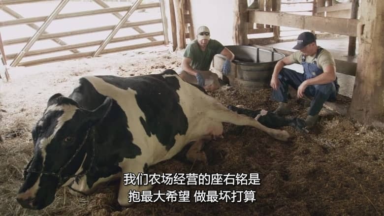 国家地理《哈彻家的奶牛农场 The Hatcher Family Dairy 2021》全8集 多国语言多国字幕 无水印纯净版 720P/MKV/16.2G 农场纪录片插图2 国家地理《哈彻家的奶牛农场 The Hatcher Family Dairy 2021》全8集 多国语言多国字幕 无水印纯净版 720P/MKV/16.2G 农场纪录片插图2