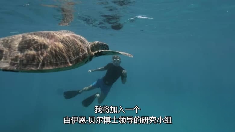国家地理《杰克蓝道冒险纪行 Fearless Adventures with Jack Randall 2018》全6集 多国语言多国字幕 无水印纯净版 720P/MKV/1.02G 动物短片插图4 国家地理《杰克蓝道冒险纪行 Fearless Adventures with Jack Randall 2018》全6集 多国语言多国字幕 无水印纯净版 720P/MKV/1.02G 动物短片插图4
