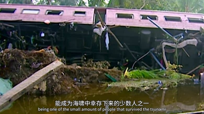 Ch5纪录片《印度洋大海啸 Boxing Day Tsunami 2021》全3集 英语中英双字 无水印纯净版 1080P/MKV/3.51G 印度洋大海啸插图5