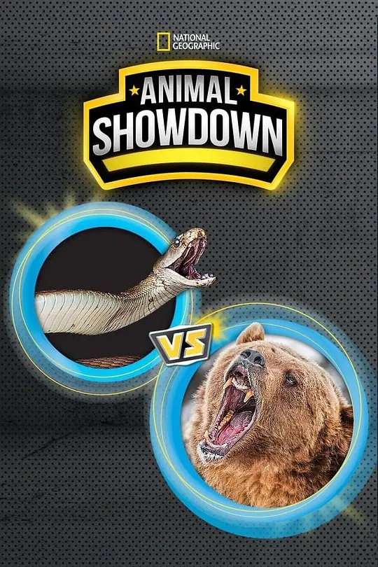 国家地理《动物大对决 Animal Showdown 2018》全6集 多国语言多国字幕 无水印纯净版 720P/MKV/1.13G 动物短片插图