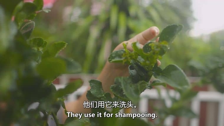 美国纪录片《味道来源 Sourced 2018》全8集 英语中英双字 无水印纯净版 1080P/MKV/10.5G 美食纪录片插图1
