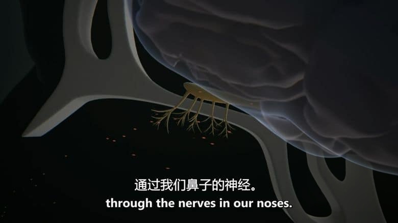 加拿大纪录片《空气中的东西 Something in the Air 2019》英语中英双字 无水印纯净版 1080P/MKV/3.04G 空气污染插图4