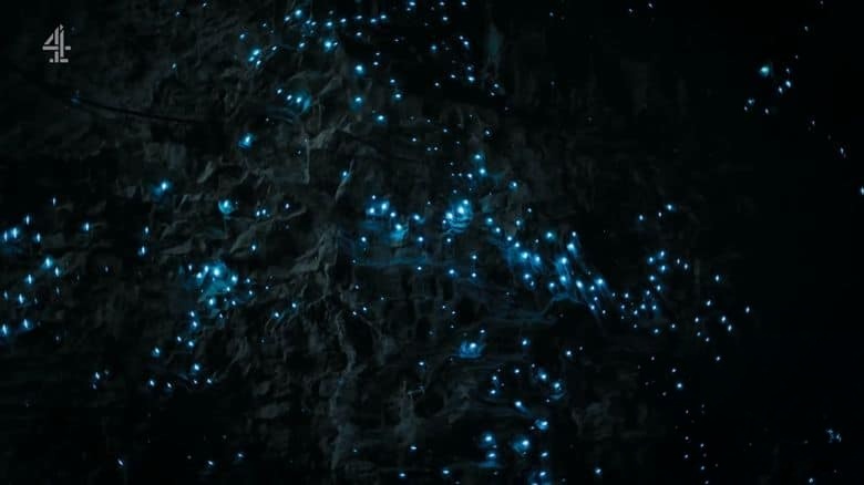 CH4纪录片《火车环游新西兰 New Zealand by Train 2022》英语中英双字 1080P/MKV/1.9G 新西兰铁路之旅插图7 CH4纪录片《火车环游新西兰 New Zealand by Train 2022》英语中英双字 1080P/MKV/1.9G 新西兰铁路之旅插图7