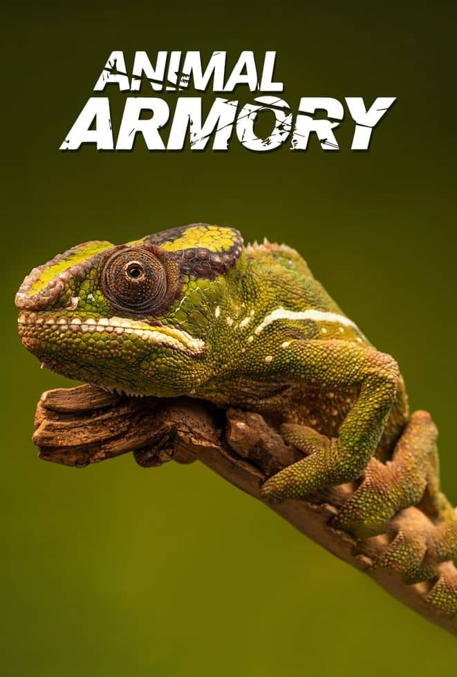美国纪录片《动物军火库 Animal Armory 2016》全6集 英语中英双字 无水印纯净版 1080P/MKV/21.6G 动物自卫术插图 美国纪录片《动物军火库 Animal Armory 2016》全6集 英语中英双字 无水印纯净版 1080P/MKV/21.6G 动物自卫术插图