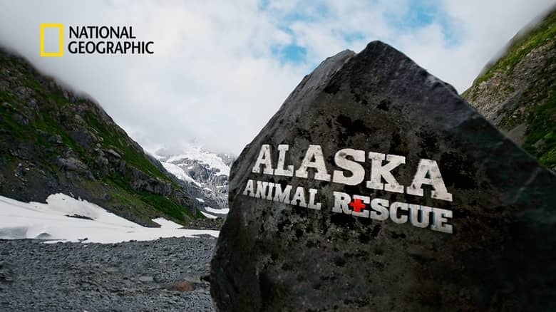 国家地理《阿拉斯加野生动物救援 Alaska Animal Rescue 2020》第二季全8集 英语中英双字 无水印纯净版 1080P/MKV/19.8G 动物救援插图1 国家地理《阿拉斯加野生动物救援 Alaska Animal Rescue 2020》第二季全8集 英语中英双字 无水印纯净版 1080P/MKV/19.8G 动物救援插图1