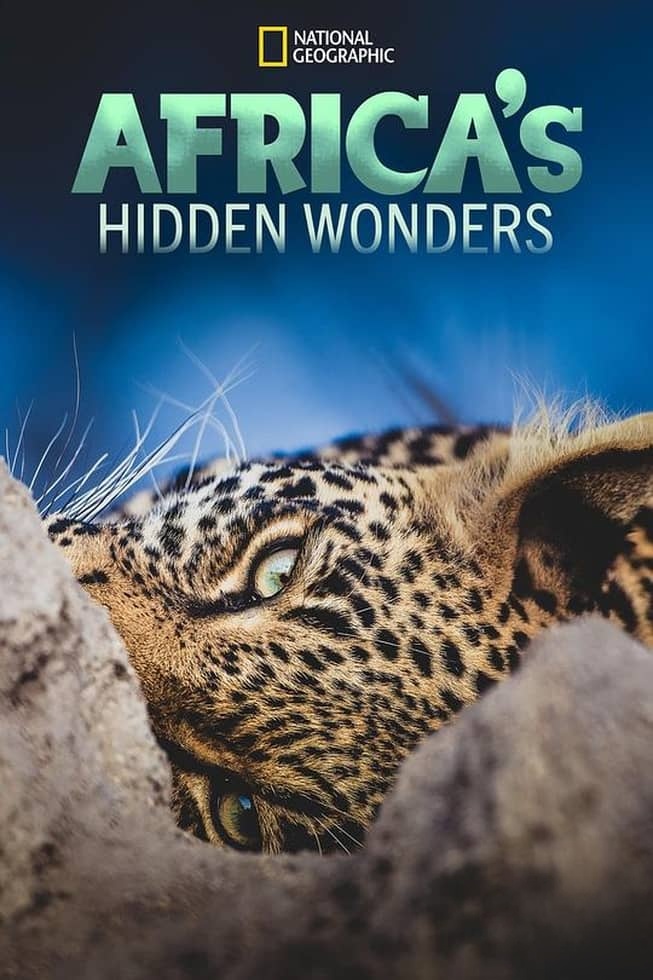 国家地理《非洲隐密珍宝 Africa’s Hidden Wonders 2020》全3集 英语多国字幕 无水印纯净版 1080P/MKV/7.36G 非洲野生生态插图