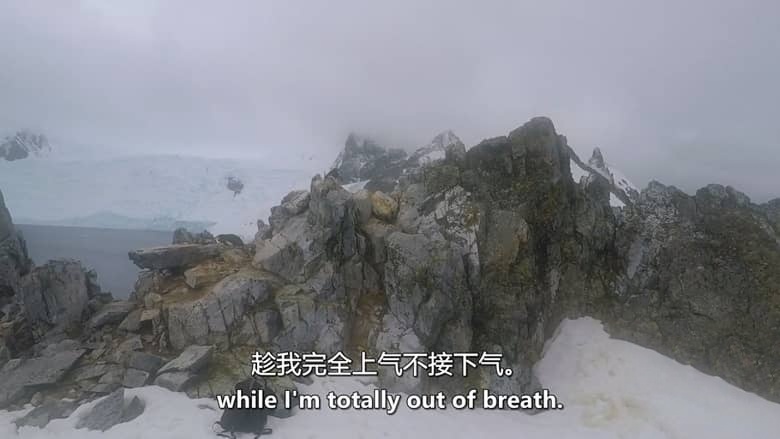 西班牙纪录片《避难所 Santuario 2019》西语无字 无水印纯净版 1080P/MKV/1.23G 南极海洋保护插图2 西班牙纪录片《避难所 Santuario 2019》西语无字 无水印纯净版 1080P/MKV/1.23G 南极海洋保护插图2