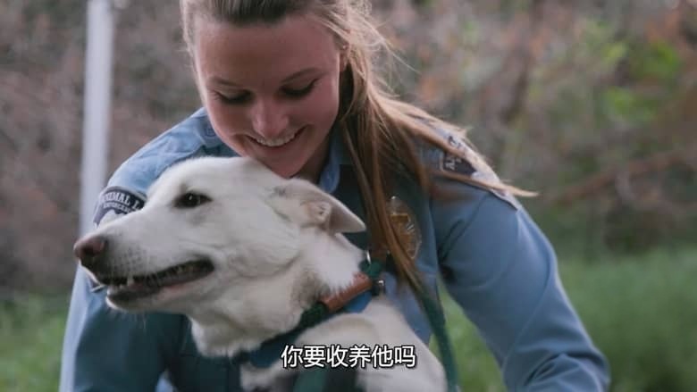 国家地理《落矶山动物救援行动 Rocky Mountain Animal Rescue 2018》全6集 多国语言多国字幕 无水印纯净版 720P/MKV/11G 动物救援插图2