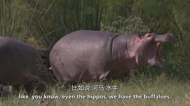 英国纪录片《遗产 Heritage 2006》全3集 英语中英双字 无水印纯净版 1080P/MKV/6.6G 世界遗产插图2 英国纪录片《遗产 Heritage 2006》全3集 英语中英双字 无水印纯净版 1080P/MKV/6.6G 世界遗产插图2
