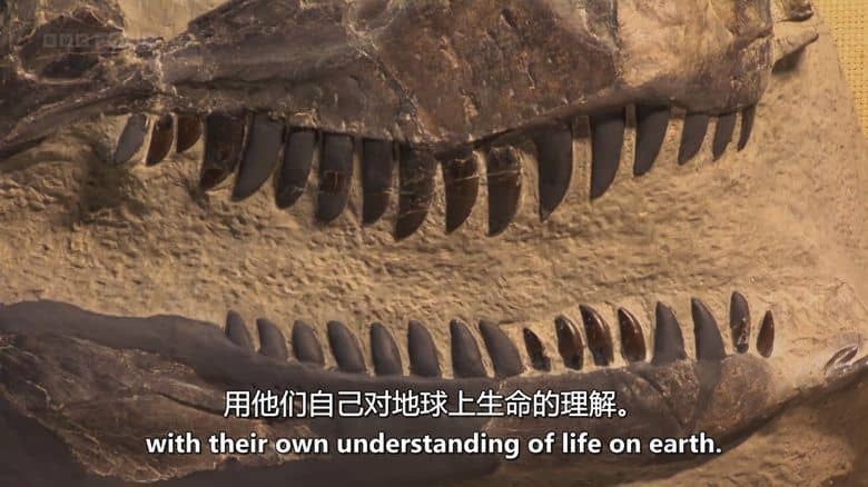 BBC纪录片《恐龙、神话与怪兽 Dinosaurs, Myths and Monsters 2025》英语中英双字 无水印纯净版 1080P/MKV/1.18G 恐龙和史前巨兽插图2