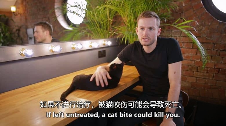英国纪录片《神经质猫咪 2：疯猫来袭 Psycho Pussies 2: Mad Cat Attacks 2020》英语中英双字 无水印纯净版 1080P/MKV/1.92G 神经质猫咪插图2