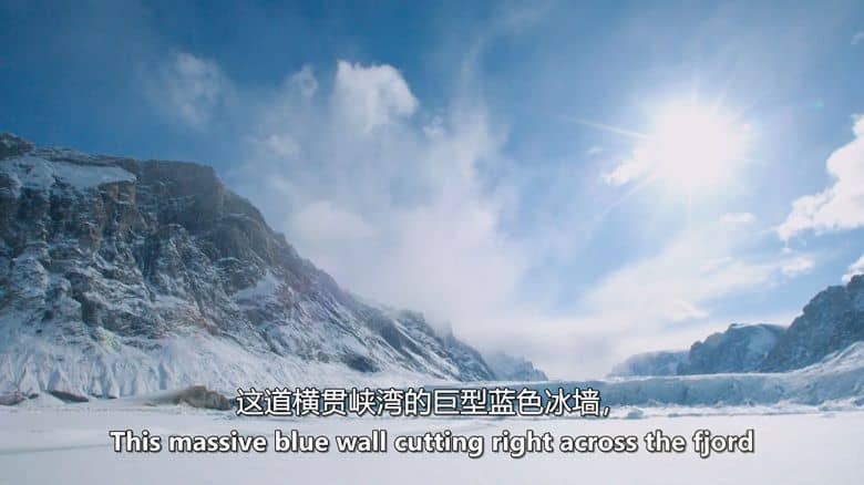 英国纪录片《史蒂夫·巴克肖的皇家北极挑战 Steve Backshall’s Royal Arctic Challenge 2025》英语中英双字 无水印纯净版 1080P/MKV/1.5G 北极探险插图6