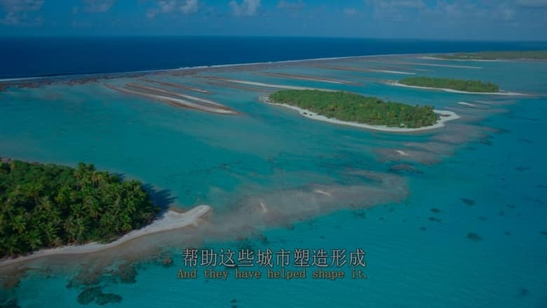 美国纪录片《最后的珊瑚礁 The Last Reef: Cities Beneath the Sea 2012》英语中英双字 4K蓝光原盘收藏版 4K超清/2160P/MP4/18.6G 消失的海底之城插图1