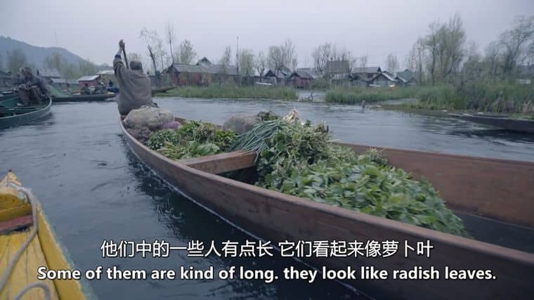 BBC纪录片《乔安娜·林莉的未知之旅 Joanna Lumley’s Unseen Adventures 》全3集 英语中英双字 无水印纯净版 1080P/MKV/6.24G 未知的旅行插图6