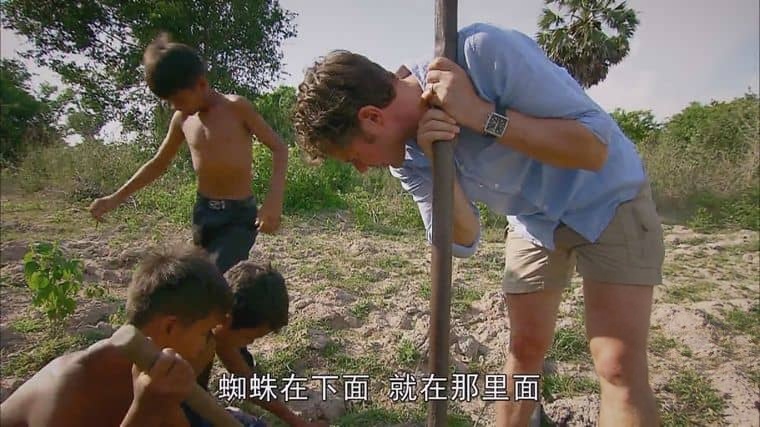 BBC纪录片《吃昆虫能拯救世界吗？Can Eating Insects Save the World? 2013》英语中字 1080P/MP4/986M 粮食危机插图6
