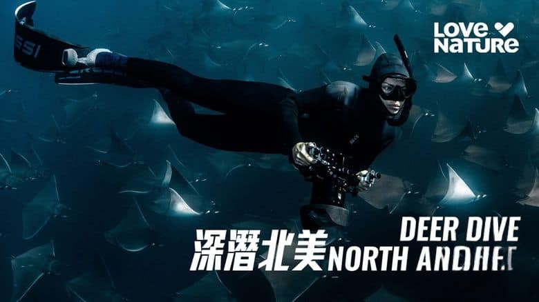Sky纪录片《深潜北美 Deep Dive North America 2025》全6集 英语中英双字 无水印纯净版 1080P/MKV/16.9G 北美水上伊甸园插图1