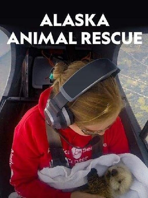 国家地理《阿拉斯加野生动物救援 Alaska Animal Rescue 2020》第二季全8集 英语中英双字 无水印纯净版 1080P/MKV/19.8G 动物救援插图 国家地理《阿拉斯加野生动物救援 Alaska Animal Rescue 2020》第二季全8集 英语中英双字 无水印纯净版 1080P/MKV/19.8G 动物救援插图
