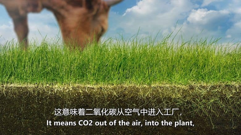 美国纪录片《再生农业 Common Ground 2025》英语中英双字 无水印纯净版 1080P/MKV/7.15G 可持续农业插图4