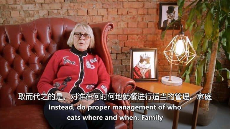 英国纪录片《神经质猫咪 2：疯猫来袭 Psycho Pussies 2: Mad Cat Attacks 2020》英语中英双字 无水印纯净版 1080P/MKV/1.92G 神经质猫咪插图4