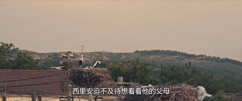 马其顿纪录片《西利安的故事 The Tale of Silyan 2025》马其顿语多国字幕 无水印纯净版 1080P/MKV/1.47G 农民与白鹳插图7 马其顿纪录片《西利安的故事 The Tale of Silyan 2025》马其顿语多国字幕 无水印纯净版 1080P/MKV/1.47G 农民与白鹳插图7