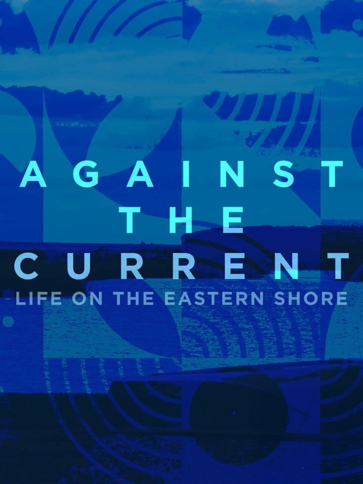 美国纪录片《逆流而上：东海岸的生活 Against the Current: Life on the Eastern Shore 2024》英语中英双字 无水印纯净版 1080P/MKV/2.61G 沿海居民插图