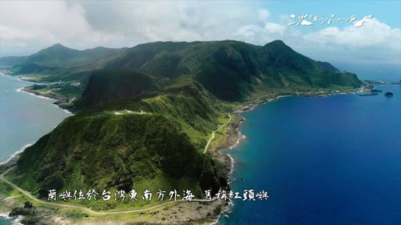 台湾纪录片《沉睡的水下巨人 Shipwrecks Taiwan 2024》全8集 国语中字 无水印纯净版 1080P/MKV/9.72G 海洋沉船生态插图1 台湾纪录片《沉睡的水下巨人 Shipwrecks Taiwan 2024》全8集 国语中字 无水印纯净版 1080P/MKV/9.72G 海洋沉船生态插图1
