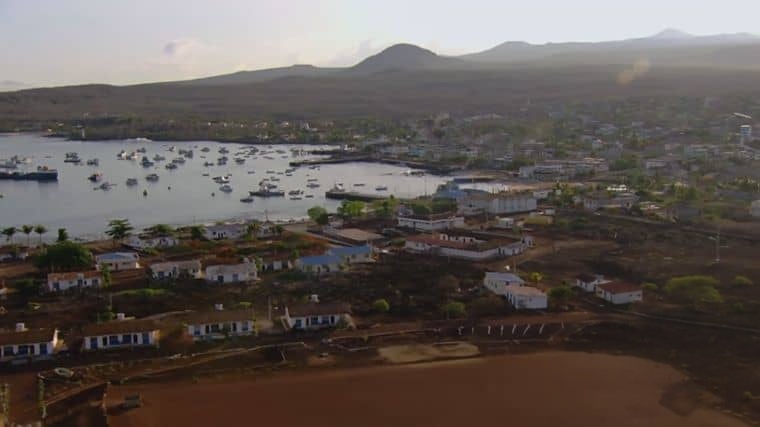 BBC纪录片《自然世界:加拉帕戈斯群岛的变化 Natural World: Galapagos – Islands Of Change 2015》英语中英双字 1080P/MP4/932M 加拉帕戈斯群岛插图4 BBC纪录片《自然世界:加拉帕戈斯群岛的变化 Natural World: Galapagos – Islands Of Change 2015》英语中英双字 1080P/MP4/932M 加拉帕戈斯群岛插图4
