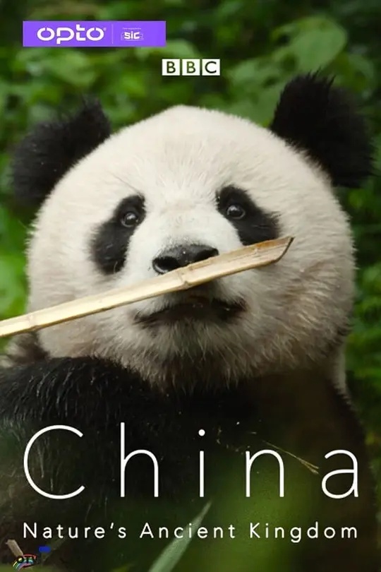 BBC纪录片《中国：自然古国 China：Nature’s Ancient Kingdom 2021》全3集 英语中英双字 无水印纯净版 1080P/MKV/9.91G 中国自然生态插图