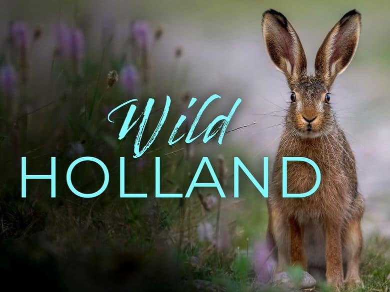 法国纪录片《狂野荷兰 Wild Holland 2017》全2集 英语中英双字 无水印纯净版 1080P/MKV/5.92G 野性荷兰插图