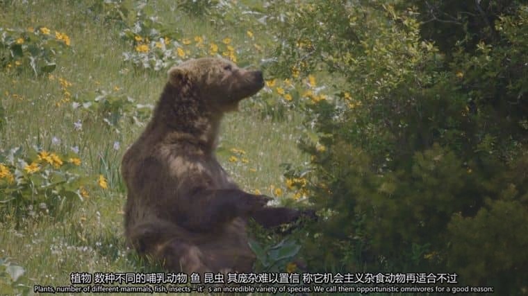 史密森尼频道《黄石公园之谜 Mystery in Yellowstone 2015》英语中英双字 1080P/MP4/1.27G 黄石公园插图3