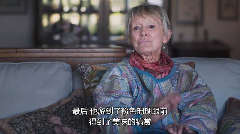 迪士尼纪录片《与鲨鱼游弋 Playing with Sharks: The Valerie Taylor Story 2021》国粤英三语多国字幕 无水印纯净版 1080P/MKV/5.57G 与鲨共舞插图2