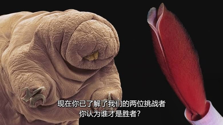 国家地理《动物大对决 Animal Showdown 2018》全6集 多国语言多国字幕 无水印纯净版 720P/MKV/1.13G 动物短片插图5