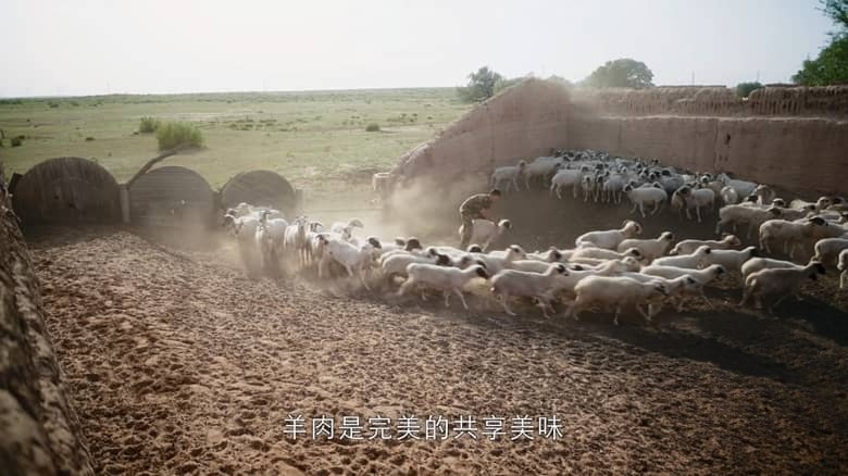 国产纪录片《黄河味道 The Taste of the Yellow River 2025》全12集 国语中字 4K超清/2160P/MP4/7.31G 黄河的味道插图1